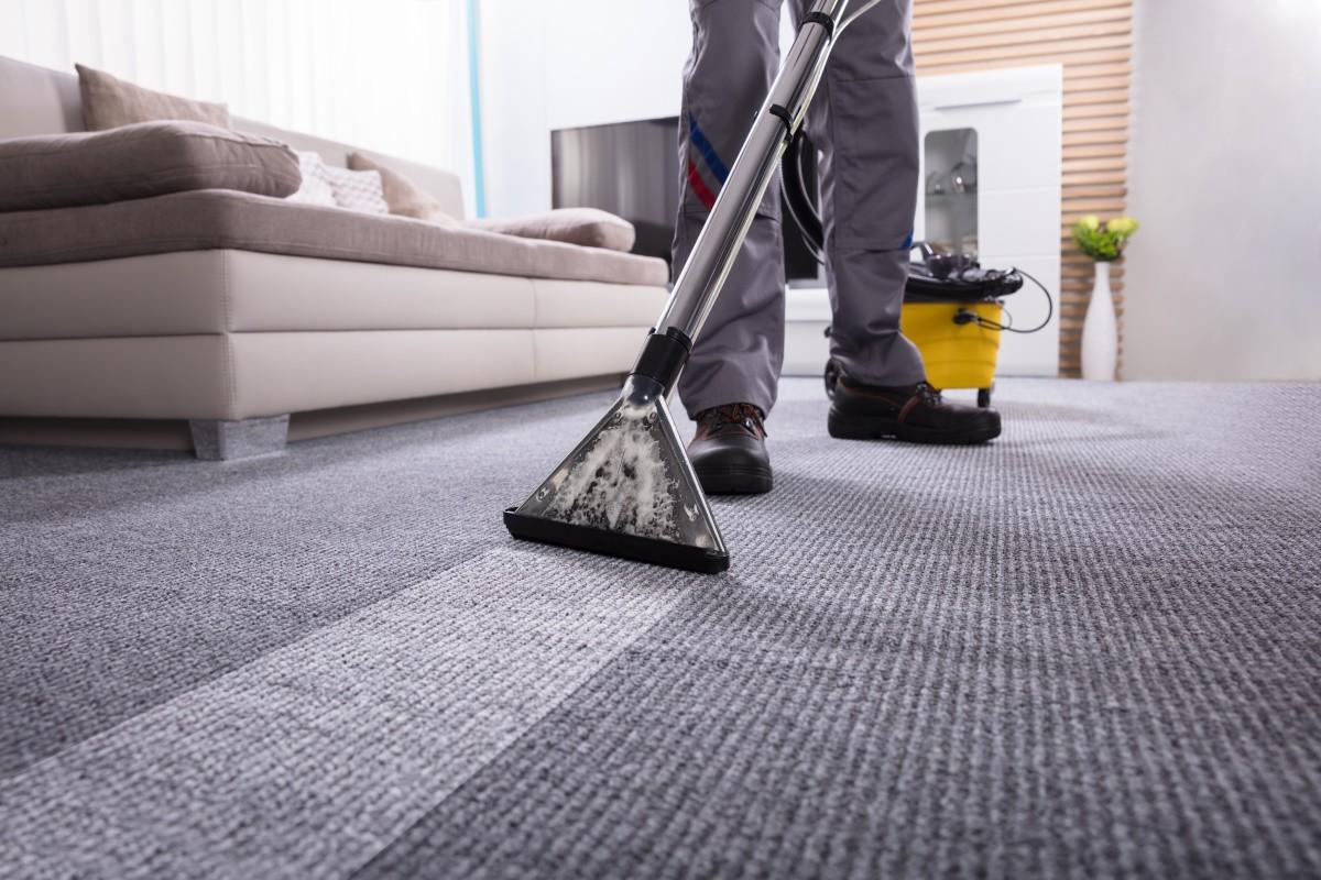 cleaner steam cleaning a rug in a home